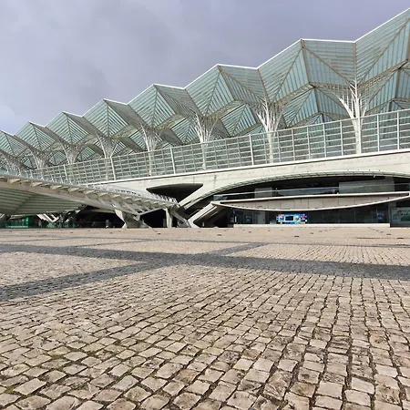 Go Native - Vip Campo Pequeno Lisbon